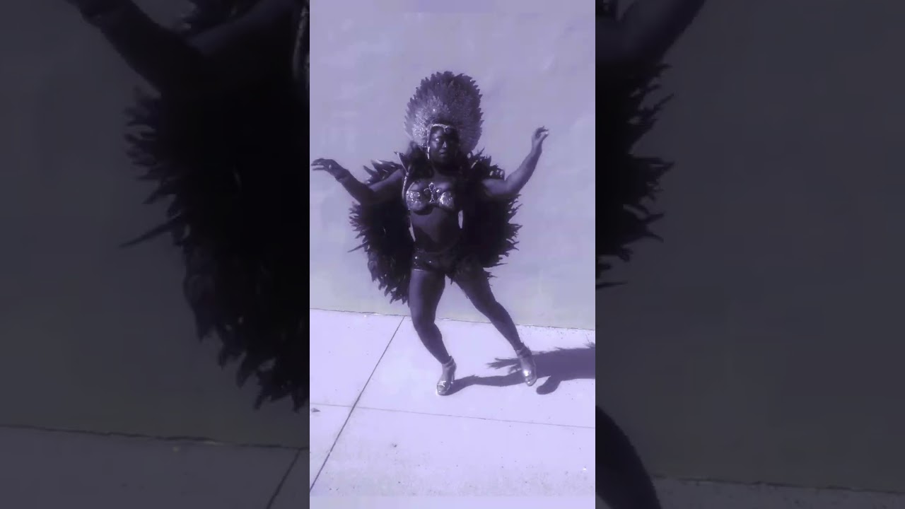 Promotional video thumbnail 1 for Samba W/Soul