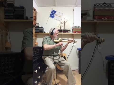 Violin, fiddle, 1/2, electric, semi acoustic, video image 8
