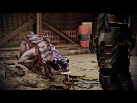 Mass Effect 2 Legendary Edition Feeding Urz