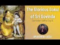 Damodar Katha Day 6 - The Glorious Gokul of Sri Govinda | Amarendra Dasa