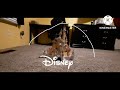 Walt Disney Pictures Logo
