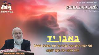 ''באבן יד'' - הרב אברהם לוי שליט''א📖לאור באור החיים📖 (פרשת משפטים) (הרב שלמה לוינשטיין) - התמונה מוצגת ישירות מתוך אתר האינטרנט יוטיוב. זכויות היוצרים בתמונה שייכות ליוצרה. קישור קרדיט למקור התוכן נמצא בתוך דף הסרטון ''באבן יד'' - הרב אברהם לוי שליט''א📖לאור באור החיים📖 (פרשת משפטים) (הרב שלמה לוינשטיין) - התמונה מוצגת ישירות מתוך אתר האינטרנט יוטיוב. זכויות היוצרים בתמונה שייכות ליוצרה. קישור קרדיט למקור התוכן נמצא בתוך דף הסרטון