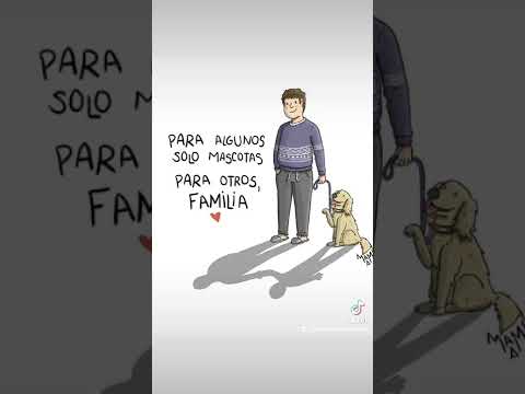 LOS PERROS LOS MEJORES AMIGOS DE LOS HUMANOS. ARROYO DE SAN SERVAN.  CAMPANARIO