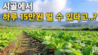 시골 일자리 찾는 가장 쉬운 방법..! 귀농귀촌 일자리 찾기 [시골 일자리 찾기]