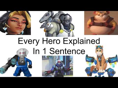 EVERY Overwatch Hero Explained in 1 Sentence