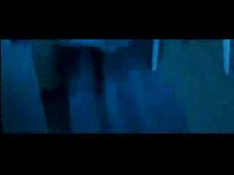 Stoli Blueberry Promotional