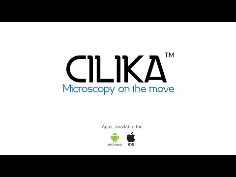 Cilika Old
