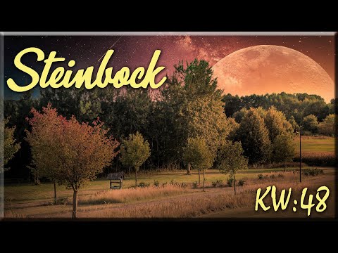 ♑ Steinbock - KW 48 ♑  -  Tarot Wochenausblick  -