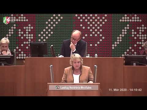 Den gerechten Lohn der Vielen besser schützen - SPD Antrag -2020-03-11 - Plenarrede