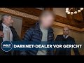 VON SHINY FLAKES BIS CANDY LOVE Der Kinderzimmerdealer Kann Es Nicht Lassen
