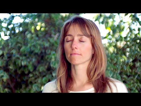 A Beginner's Meditation