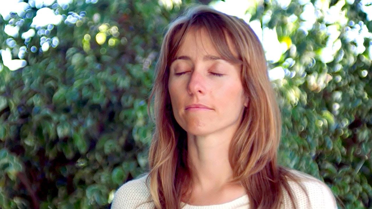 A Beginner's Meditation