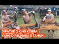 Akhir Tragis Sang Pawang Ular Dipatuk 2 King Kobra Yang Dipelihara 5 Tahun