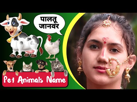 पालतू जानवरों के नाम! Pet Animals Name in English to Hindi Both Language