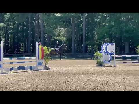 Magnus Zanzibar video 3