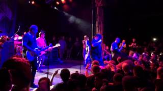 Judge - New York Crew