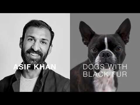 I see you ! by Asif Khan for Dogs With Black Fur