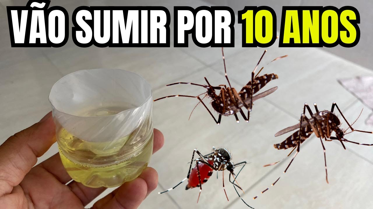Isso Faz Mosquitos e Pernilongos SUMIREM PARA SEMPRE