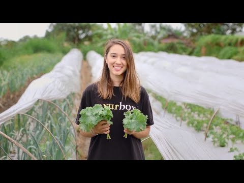 Missing alt text value