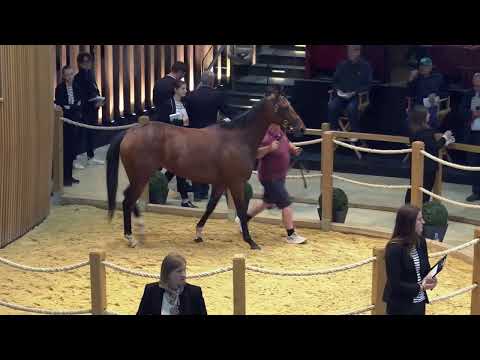 J1 - Top Price N°1 - 210 000E - N (FORMIDABLE KITT 2022) - Vente Arqana d'été 2024