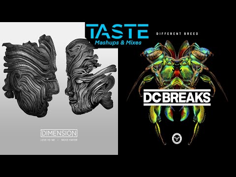 Love To Me x Never Stop (Dimension x DC Breaks) [Mashup]