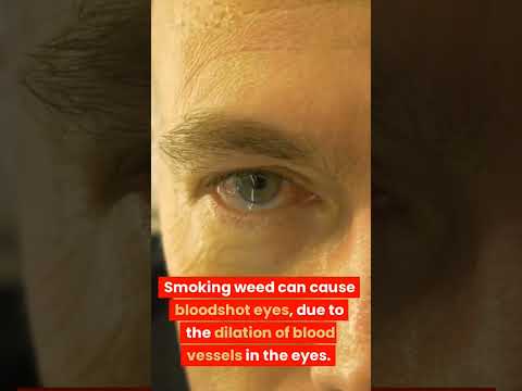 #unbelievable Effects of smoking #weed or Marijuana on #humanbodyfacts #mindblowingfacts 🚭