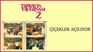 Turgay Noyan Orkestrası / Çiçekler Açılıyor