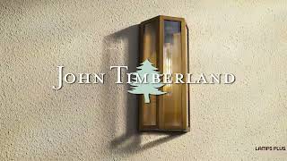 1_Watch A Video About the Cecily Aged Brass Indoor Outdoor Wall Light