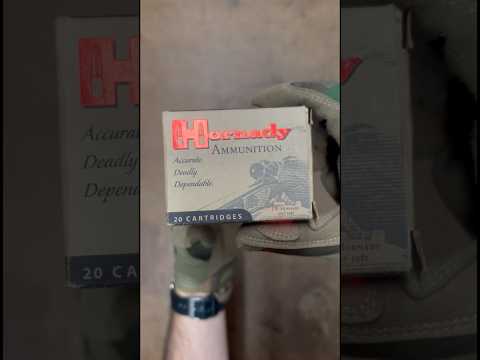 Statistics/Velocity Report