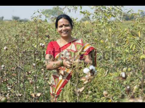 Ei phool phulibor botar এই ফুল ফুলিবৰ বতৰ আহিল, Nirmala Mishra