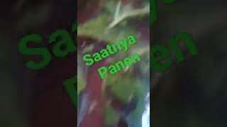 Download lagu panan lele untung besar di belakang rumah mp3