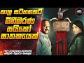 ඝාතකයා කවුද 😱| The Stoneman Murders in Sinhala | Inside Cinemax