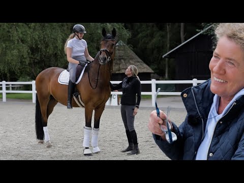 Pferdebesitzerin bricht in Tränen aus - jahrelange Taktstörungen über Nacht verschwunden