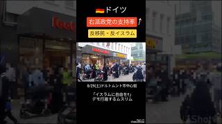 【移民政策】ドイツで高まる反移民支持率 #shorts #ドイツ #移民政策