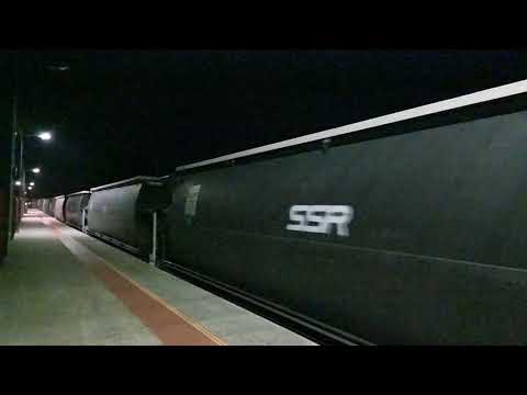 SSR grain with T357.