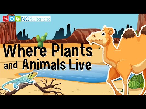Where Plants and Animals Live