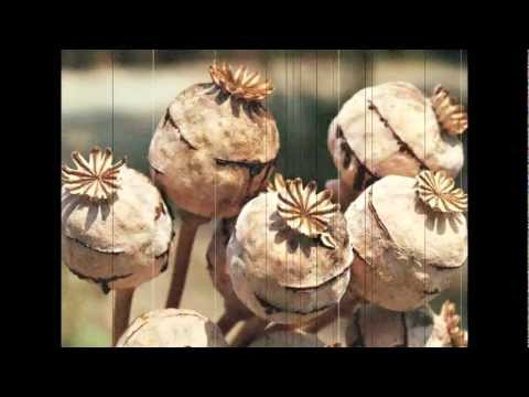 Dragi - Gober & Dj Gondek