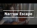 Narrow Escape - Ray Lamontagne - Dustling Acoustic Cover Song