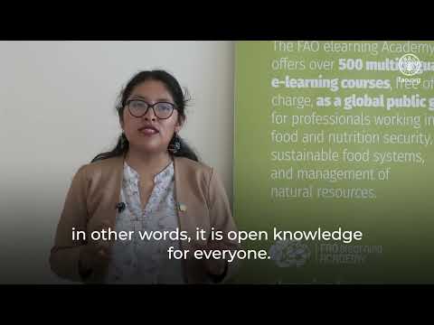 Strengthening Youth Leadership in Forest Restoration and Climate Action