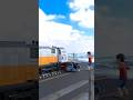 Train Vs Bus Tayo Pawpatrol Automobile Beamngrao Gaming Xcavator Trukdance Games