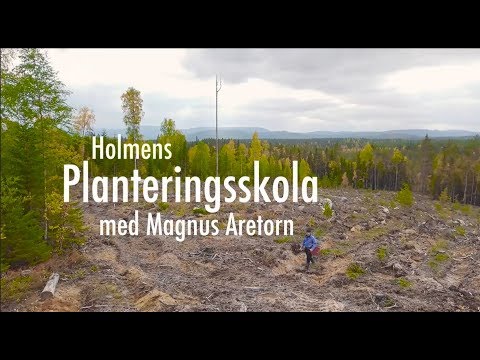 Holmens planteringsskola