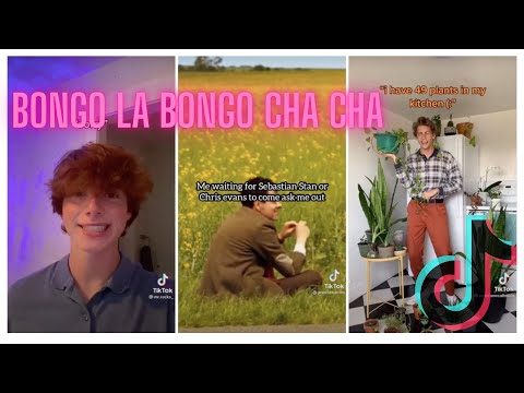 Bongo cha cha cha 💃- Tik Tok Compilation