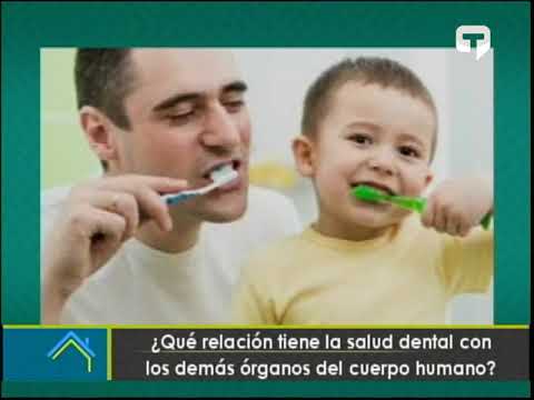 ¿Qué relación tiene la salud dental con los demás órganos del cuerpo humano?