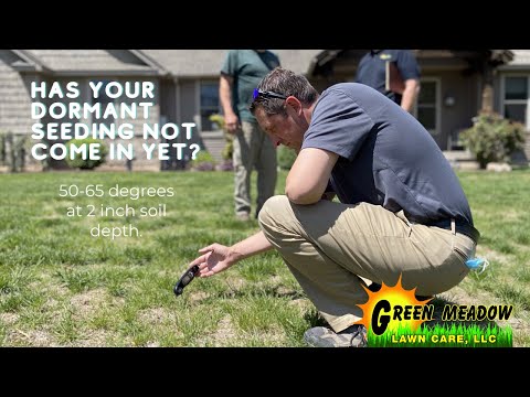 Has Your Dormant Seeding (2020) Not Come in Yet?