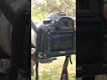 Shorts Police Shouting