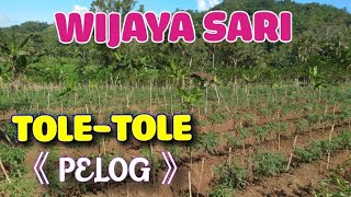 Download lagu GENDING TOLE-TOLE ( PELOG ) EBEG WIJAYASARI mp3