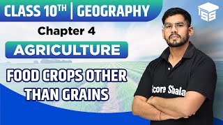 Food Crops other than Grains - Agriculture | Chapter 4 | Class 10 Geography - NCERT