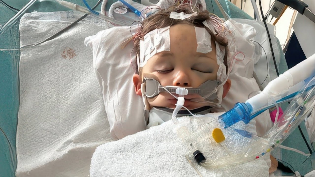 Family Sues San Diego After Fallen Tree Branch Kills 4-Year-Old Boy