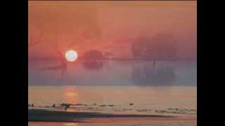 Love Sculpture Summertime