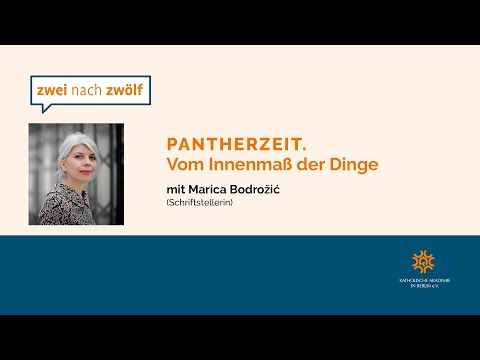Pantherzeit. Vom Innenmaß der Dinge